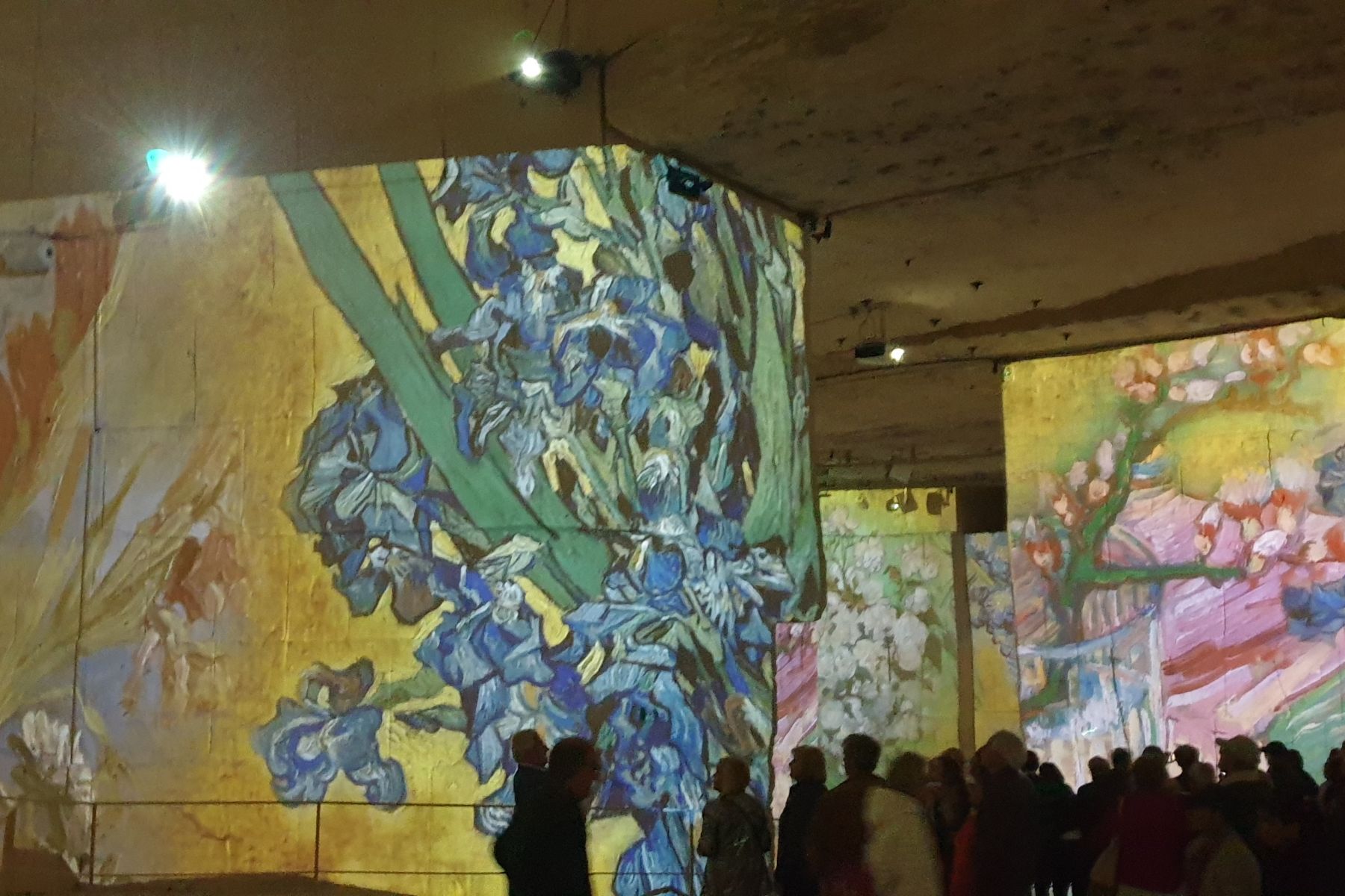 Van Gogh en Carrières de Lumières