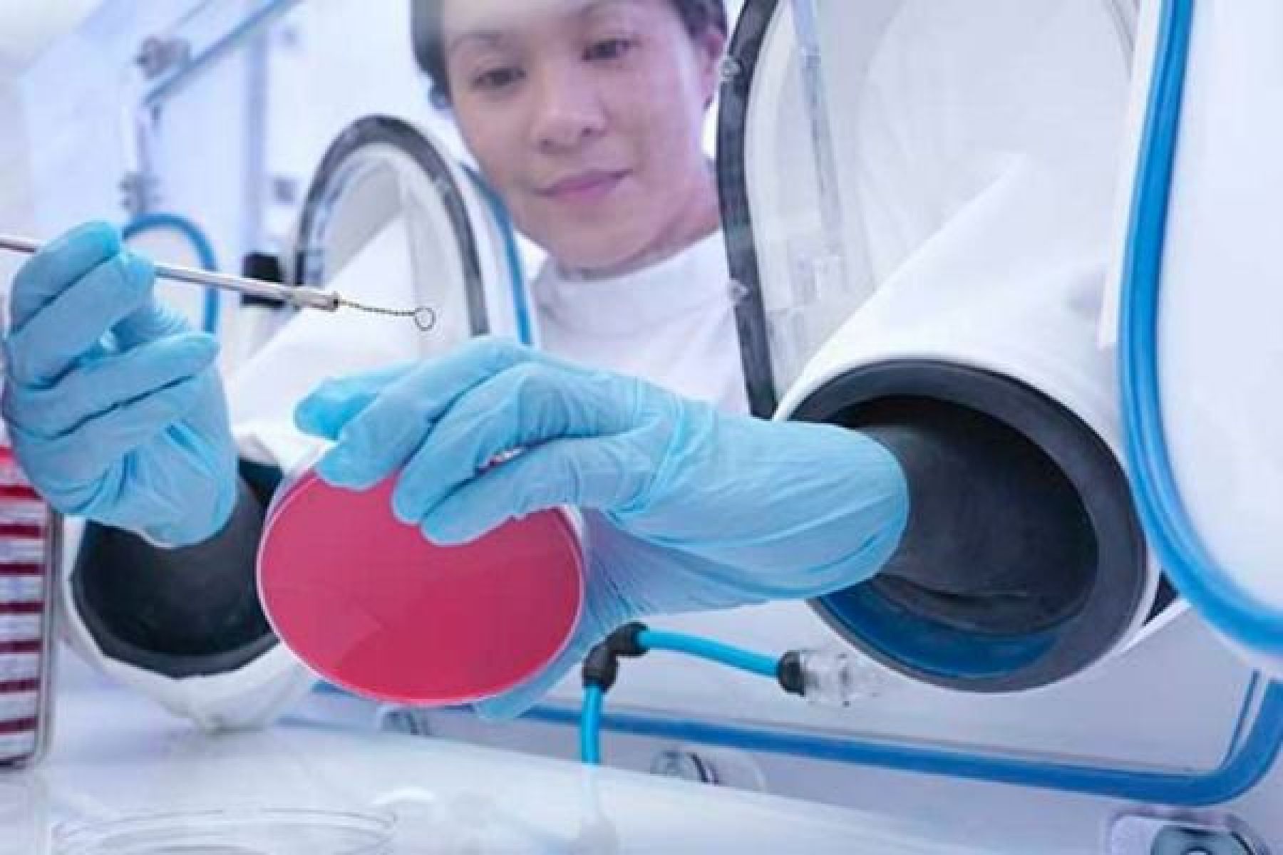 Coronavirus, ¿qué sabemos de esta nueva enfermedad?