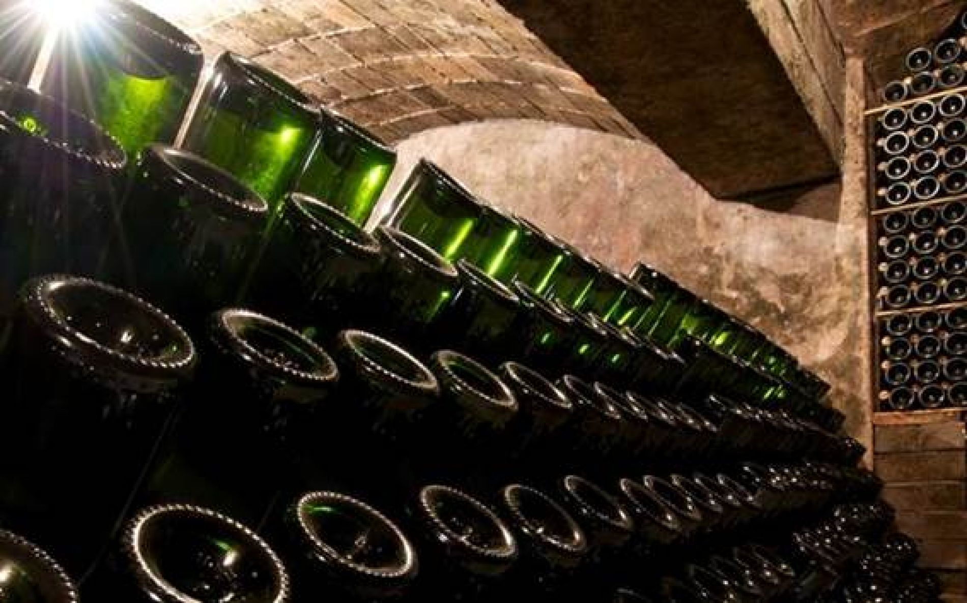 Set preocupacions dels empresaris vitivinícoles