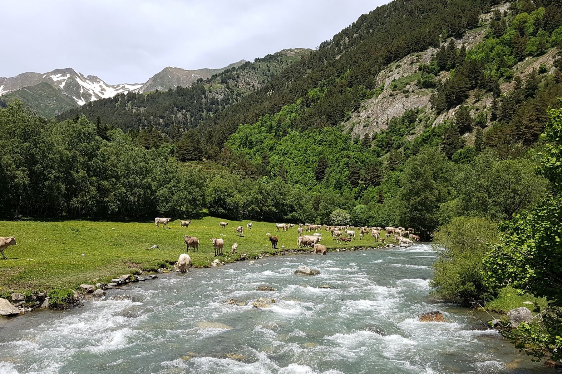 EL VIATGE DE L'AIGUA