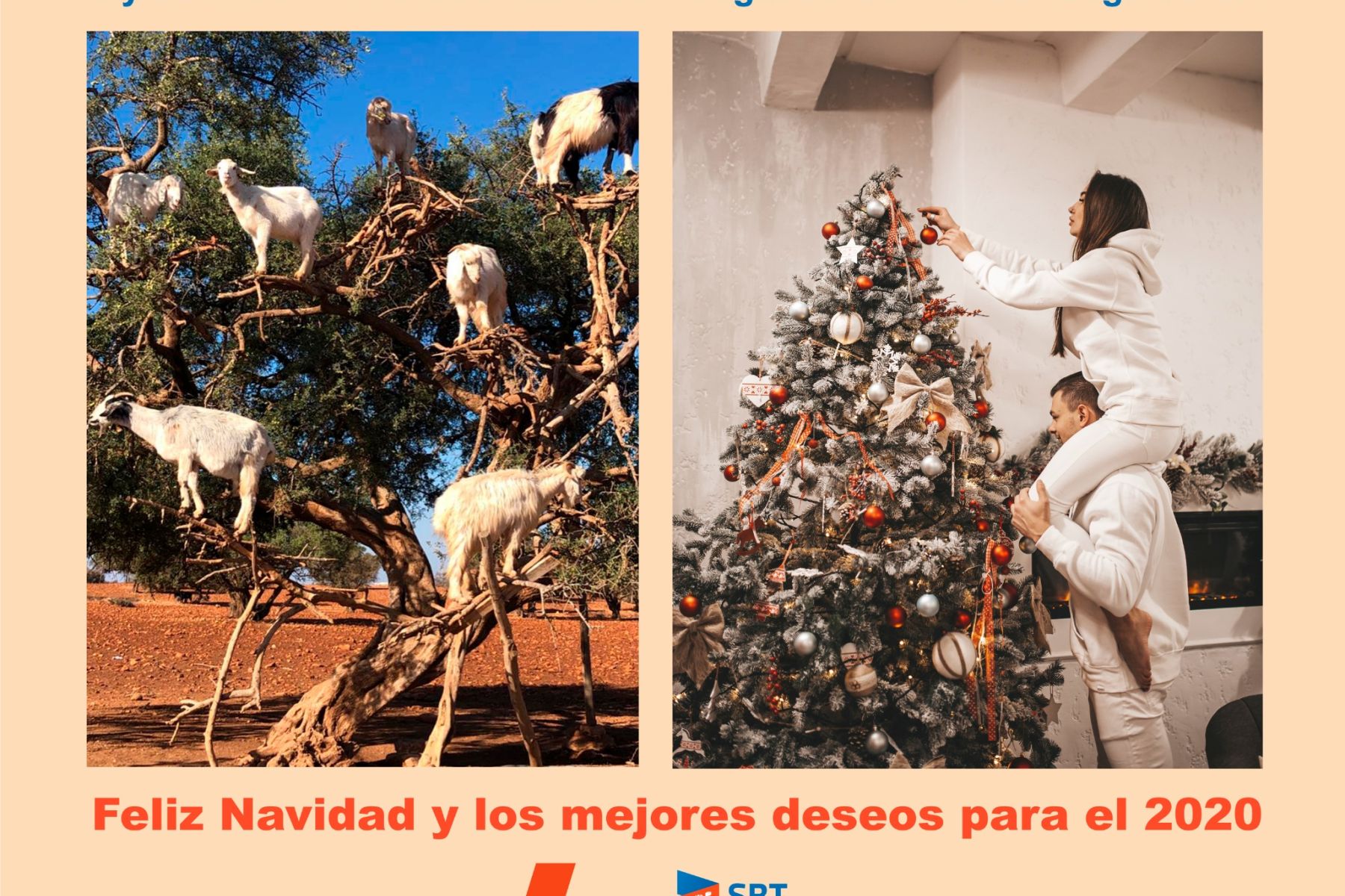 FELICES FIESTAS Y UN BUEN AÑO 2020